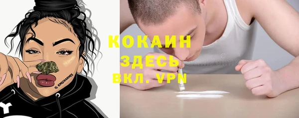 прущие грибы Алзамай