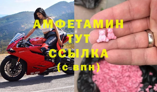 прущие грибы Алзамай