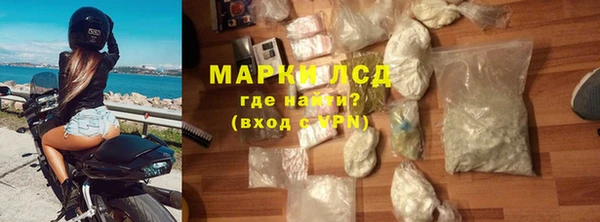 прущие грибы Алзамай